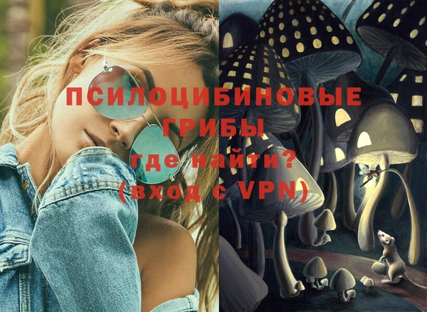 apvp Вяземский