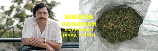 apvp Вяземский