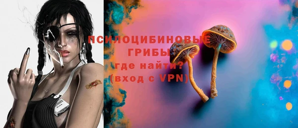 дживик Вязники