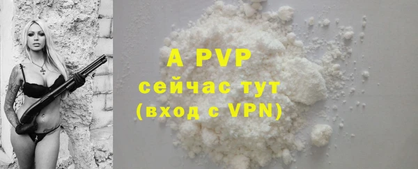 apvp Вяземский