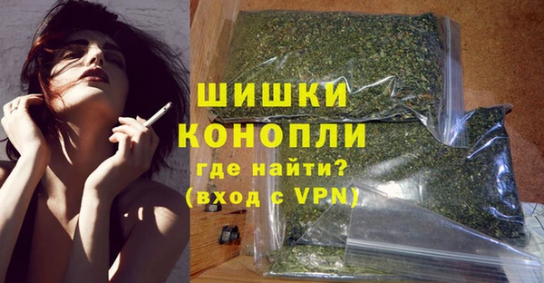 ПСИЛОЦИБИНОВЫЕ ГРИБЫ Вязьма