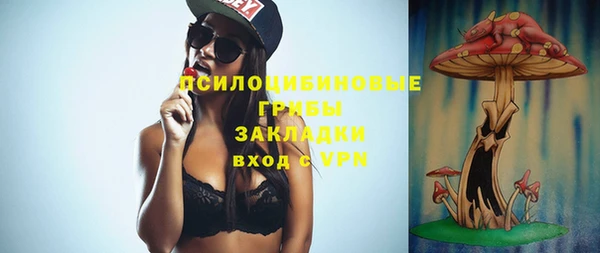 ПСИЛОЦИБИНОВЫЕ ГРИБЫ Вязьма