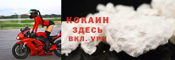apvp Вяземский